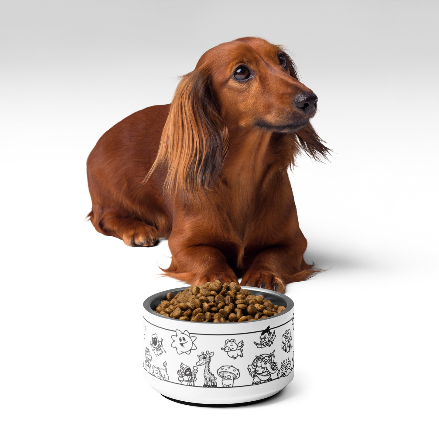 Wizard101 Pet Doodles Pet Bowl